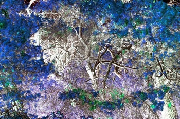 T 063C